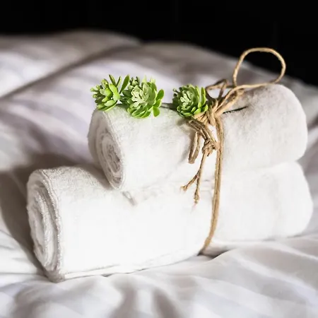 Boroka Vendeghaz 게스트하우스 3*