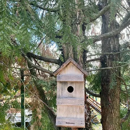 게스트하우스 Boroka Vendeghaz Toalmas