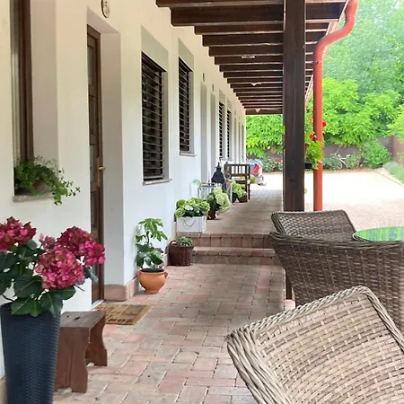 Boroka Vendeghaz 게스트하우스